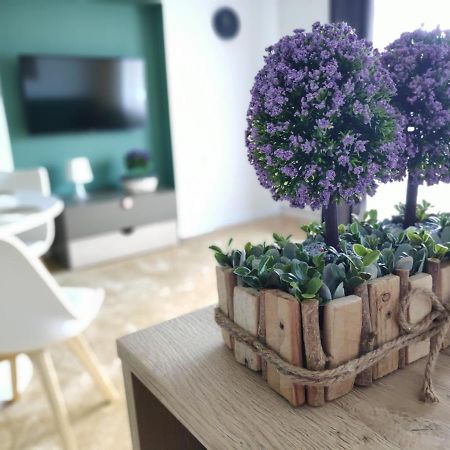 Apartament Karpaty Криниця-Здруй Екстер'єр фото