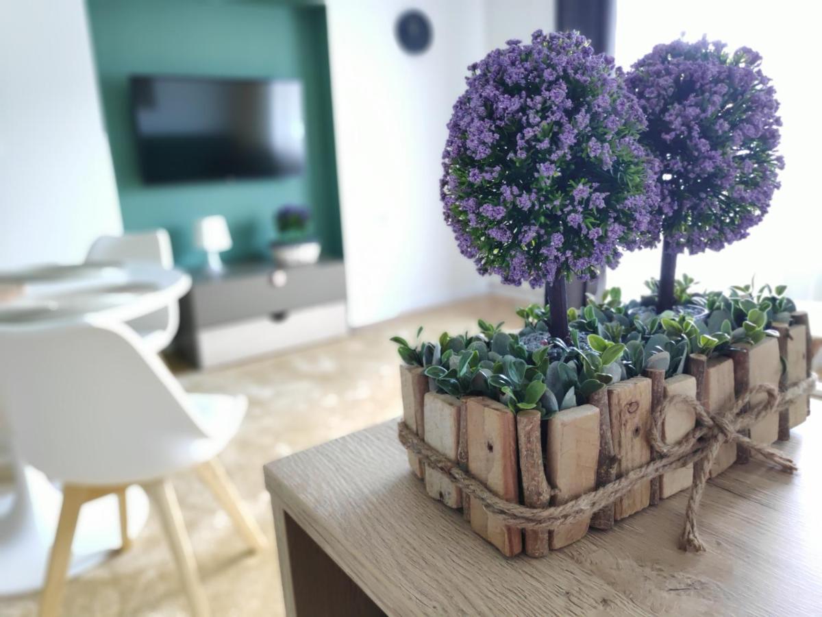 Apartament Karpaty Криниця-Здруй Екстер'єр фото